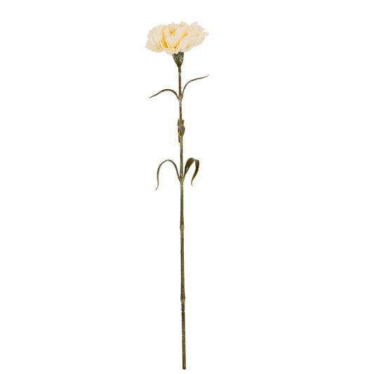 Cream Carnation Stem