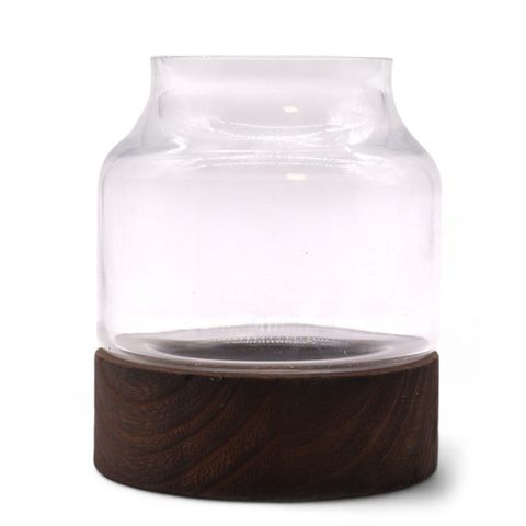 Small Shaped Terrarium on Dark Tung Wood