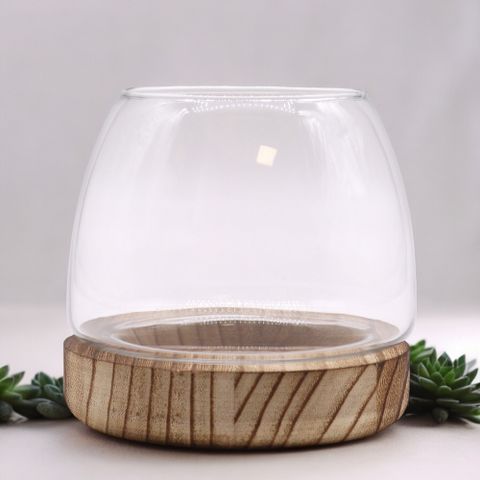 Small Terrarium on Natural Tung Wood
