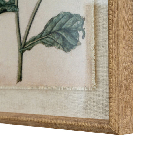 Flora & Fauna Collection Borage On Linen In Beaded Frame