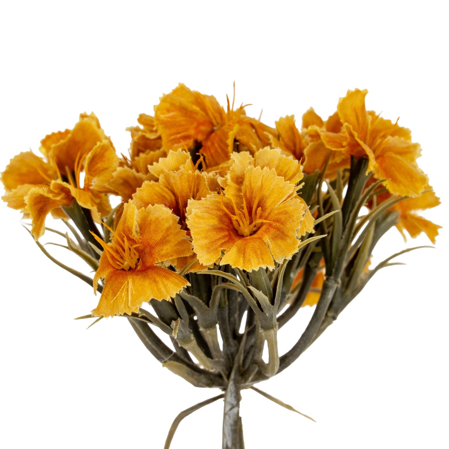 Yellow Dianthus Spray