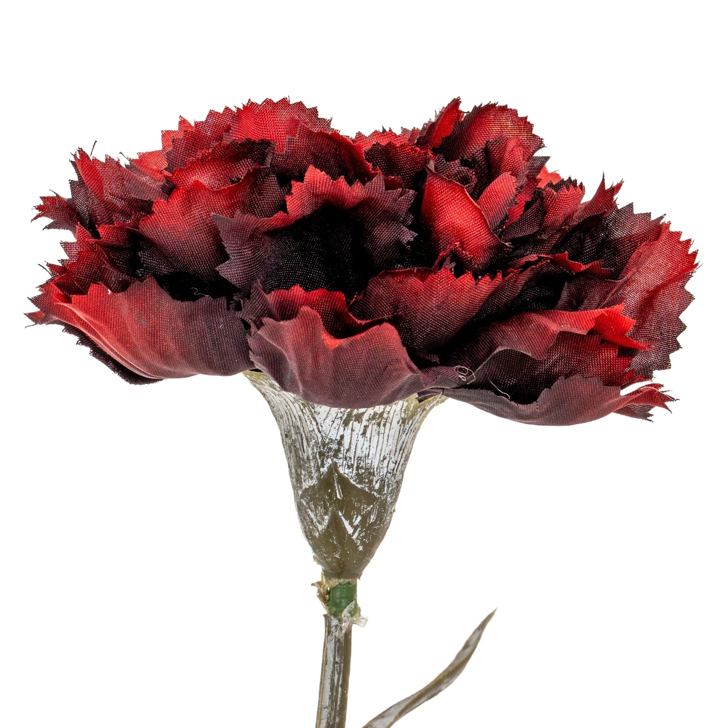 Burgundy Carnation Stem