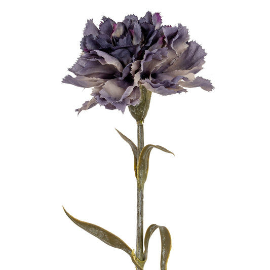 Purple Carnation Stem