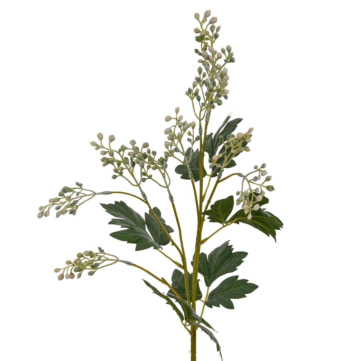 Milk Thistle Bud Spray