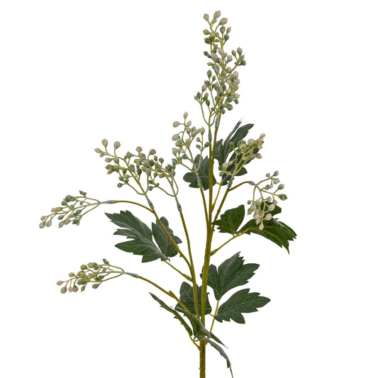 Milk Thistle Bud Spray