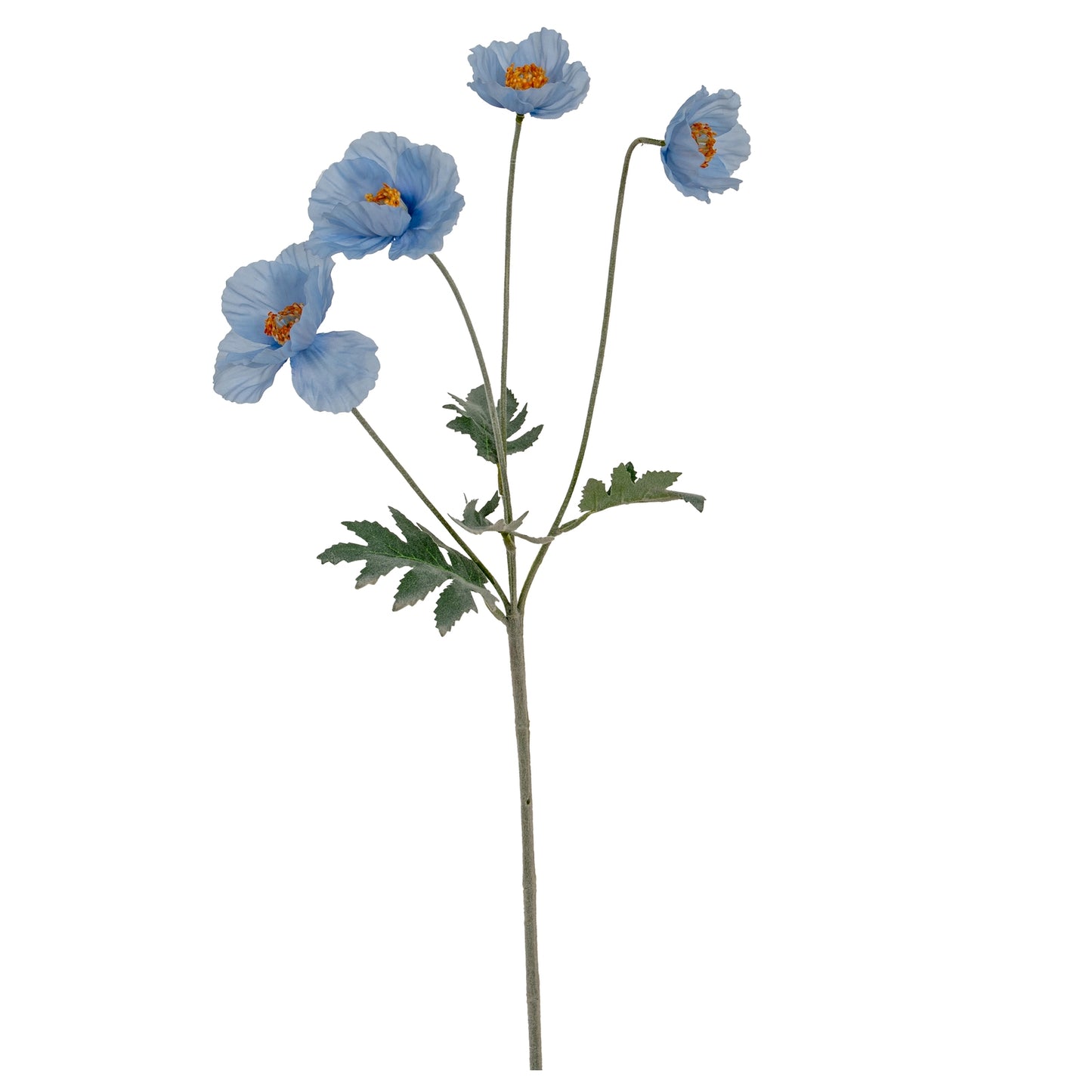 Blue Papaver Oppy Spray
