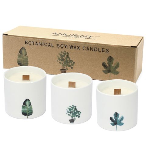 Medium - Botanical Candles - Wild Jasmine