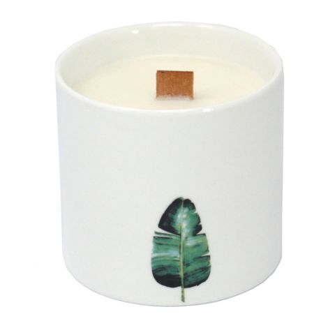 Medium - Botanical Candles - Wild Jasmine